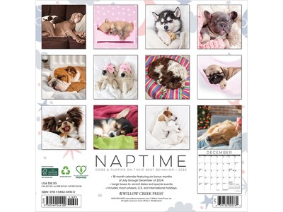 2025 Willow Creek Naptime: Dogs & Puppies on Their Best Behavior 12 x 12 Monthly Wall Calendar (44