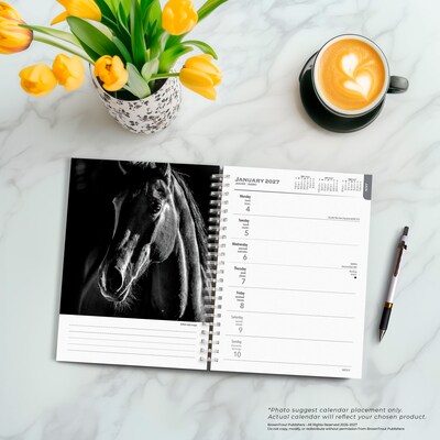 2027 BrownTrout The Noble Horse 6.5" x 7.8" Calendar Year Weekly Standard Planner, Multicolor (9798330709465)