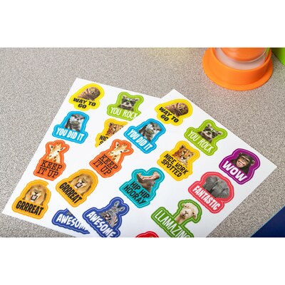 Teacher Created Resources Go Wild Animals Stickers, 72/Pack, 12 Packs/Bundle (TCR6855-12)