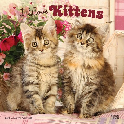 2023 BrownTrout I Love Kittens 12 x 24 Monthly Wall Calendar, (9781975448967)