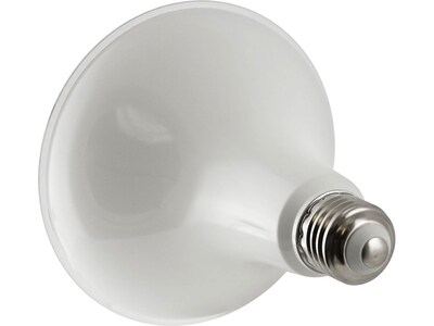 Viribright 12-Watt Cool White LED Floodlight Bulb, 4/Box (450160-ES)