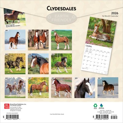2026 BrownTrout Clydesdales 12 x 12 Monthly Wall Calendar (9798330702954)