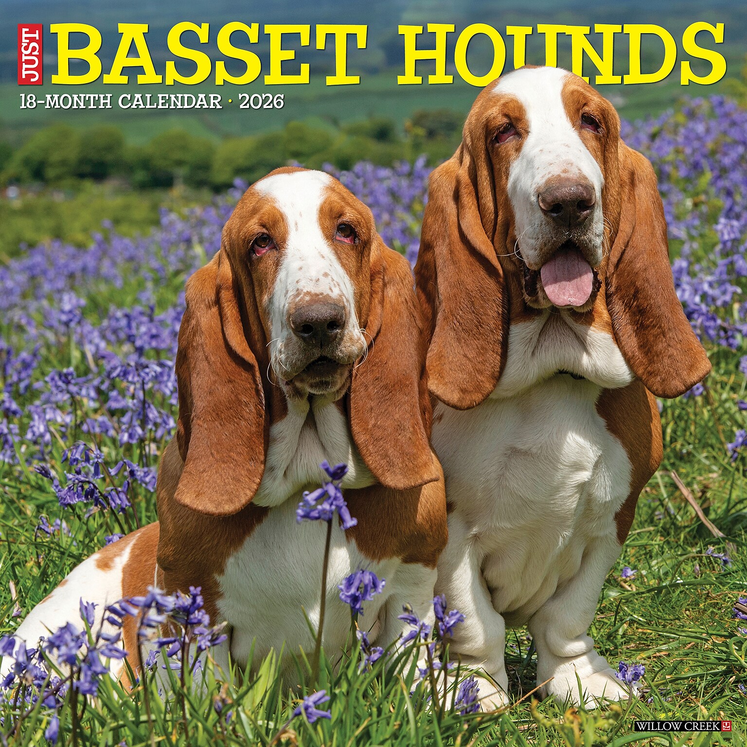 2026 Willow Creek Basset Hounds 12 x 12 Monthly Wall Calendar (50095)