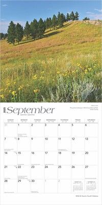 2025 BrownTrout South Dakota Wild & Scenic 12" x 12" Monthly  Wall Calendar (9781975475727)