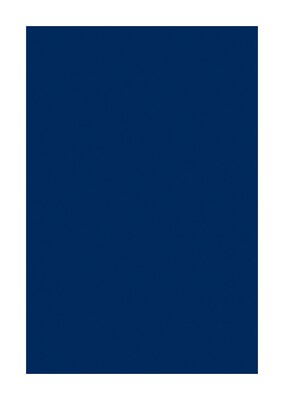 Spectra Deluxe Bleeding Art Tissue, Blue, 20 x 30, 24 Sheets/Pack (P0059402)
