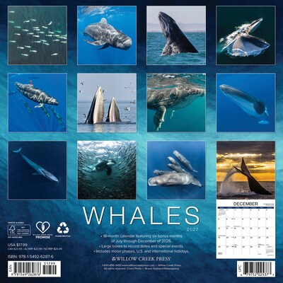 2027 Willow Creek Whales 12 x 12 Monthly Wall Calendar, Assorted Colors (62876)
