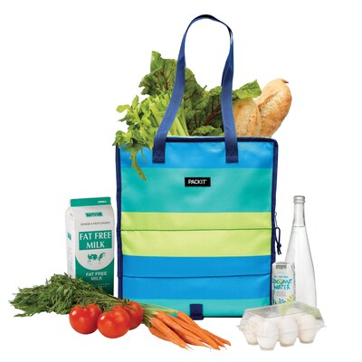 Packit Freezable Grocery Tote