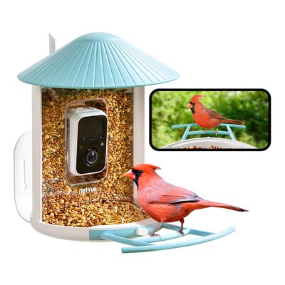 Birdfy Smart Bird Feeder with Camera and AI by Subscription, Blue (EPPAMBNI8102100)