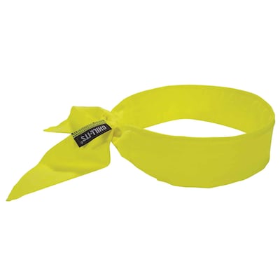 Ergodyne Chill-Its 6700 Cooling Bandana, Lime, One Size (12397)