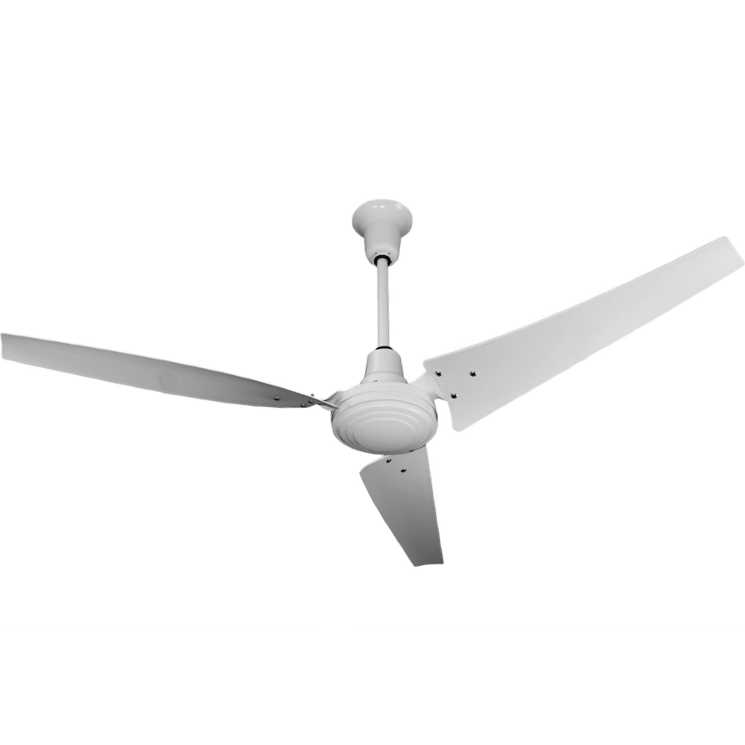 TPI E-CF Series 56 Ceiling Fan, White (08198202)