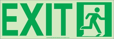 NYC Door Mount Exit Sign, Right, 4.5X13, Flex, 7550 Glo Brite, MEA Approved