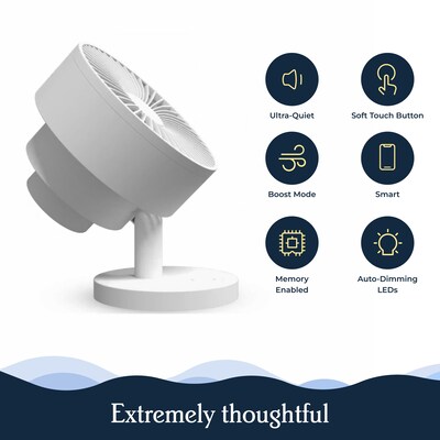 Windmill Oscillating Desk Fan, 5-Speed, Black (FC07W5)