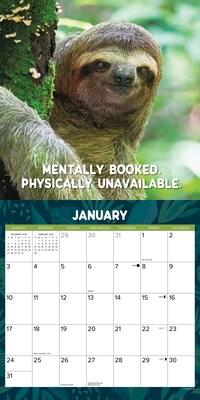 2027 Willow Creek Sloth Mode 12" x 12" Monthly Wall Calendar, Assorted Colors (62371)