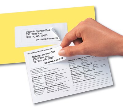 Avery Send & Reply Piggyback Laser/Inkjet Mailing Labels, 1-5/8" x 4" Outer, 1" x 3" Inner, 240 Labels/Pack (5735)