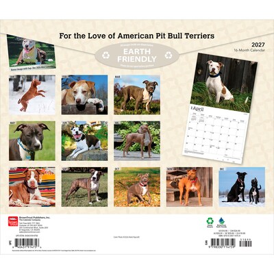 2027 BrownTrout For the Love of American Pit Bull Terriers 14 x 12 Monthly Wall Calendar, Assorted Colors (9798330714759)
