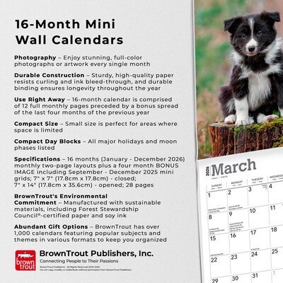 2026 BrownTrout Border Collie Puppies 7" x 7" Monthly Wall Calendar (9798330702534)