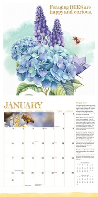 2027 Willow Creek Reasons to Bee 12" x 12" Monthly Wall Calendar, Assorted Colors (62036)