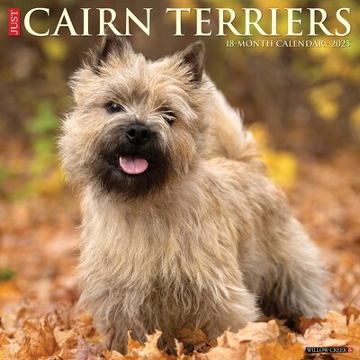 2025 Willow Creek Just Cairn Terriers 12 x 12 Monthly Wall Calendar (42083)
