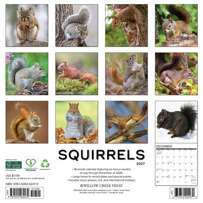 2027 Willow Creek Squirrels 12 x 12 Monthly Wall Calendar, Assorted Colors (62470)