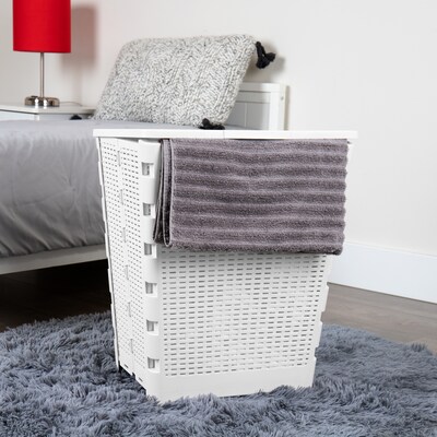 Mind Reader Foldable Plastic Laundry Hamper with Lid, White (FOLHAMP61-WHT)