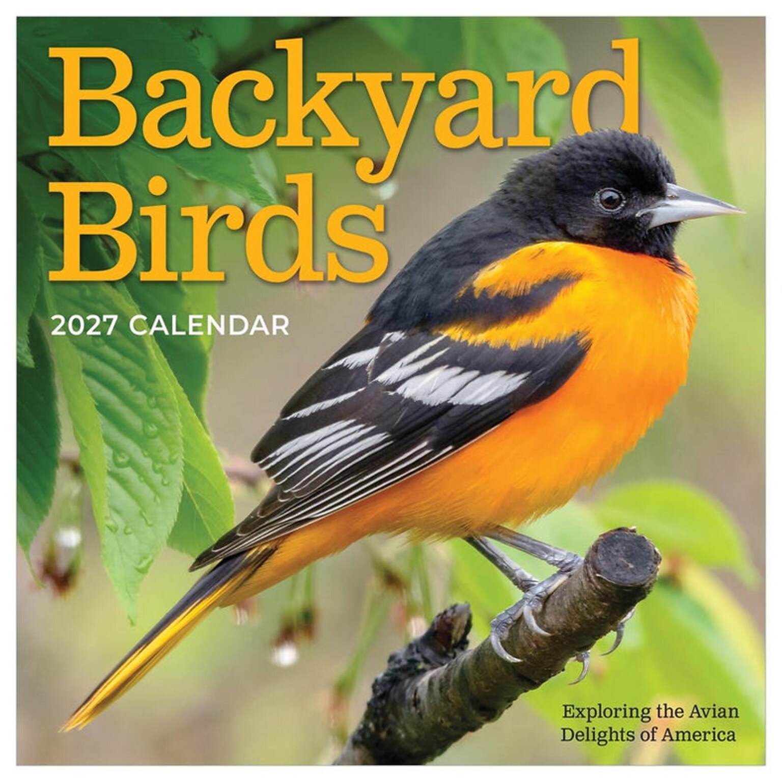 2027 TF Publishing Backyard Birds 7 x 7 Monthly Wall Calendar, Multicolored (27-2013)