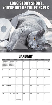 2026 Willow Creek Cat-astrophe 7" x 7" Monthly Wall Calendar (53492X)