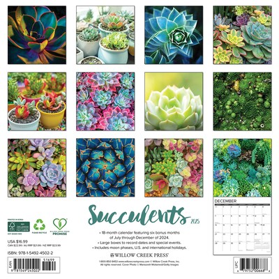 2025 Willow Creek Succulents 12 x 12 Monthly Wall Calendar (45022)