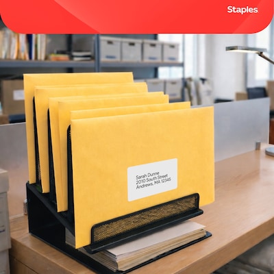 Staples Gummed Kraft Catalog Envelopes, 12" x 15.5", Brown, 100/Box (SPL534784)