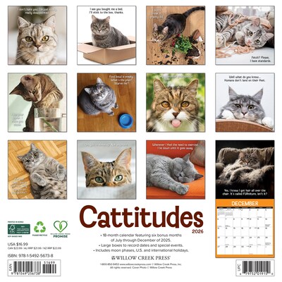 2026 Willow Creek Cattitudes 12 x 12 Monthly Wall Calendar (56738)
