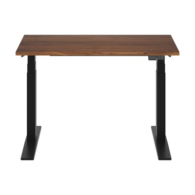 FlexiSpot E7 Commercial 48W Electric Rectangular Adjustable Standing Desk, Black Walnut/Black (E7B
