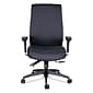 Alera® Wrigley Series Height & Width Adjustable Arm Ergonomic Polyester Task Chair, Black (ALEHPT4101)
