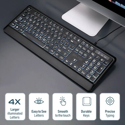 Delton KB20 Large Button/Key Keyboard with Backlight, Black (DBKBG20)