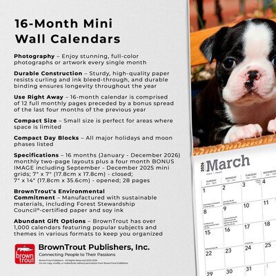 2026 BrownTrout Boston Terrier Puppies 7" x 7" Monthly Wall Calendar (9798330702589)