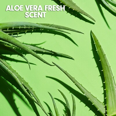 Softsoap Liquid Hand Soap Refill, Aloe Vera Scent, 50 FL. Oz. (US05264A)