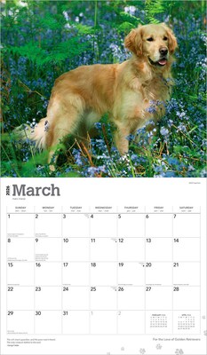 2026 BrownTrout For the Love of Golden Retrievers 14" x 12" Monthly Wall Calendar (9798330707157)