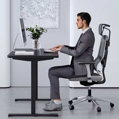 FlexiSpot ET155E 48"W Electric Rectangular Adjustable Standing Desk, Black