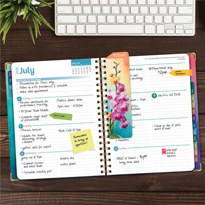 2026-2027 Excello Brands 8.5 x 11 Academic Weekly & Monthly Planner, Paperboard Cover, Orchid (FSHN-AY26-8511-81)