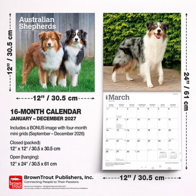 2027 BrownTrout Australian Shepherds 12" x 12" Monthly Wall Calendar (9798330712205)