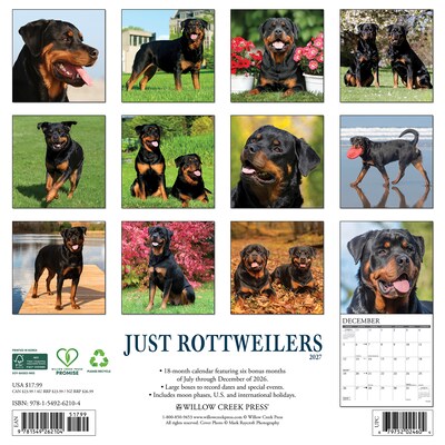 2027 Willow Creek Rottweilers 12 x 12 Monthly Wall Calendar, Assorted Colors (62104)