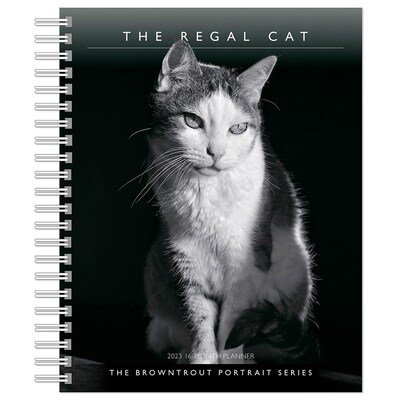 2023 BrownTrout The Regal Cat 6 x 7.75 Weekly Engagement Planner Calendar, multicolor (9781975456252)