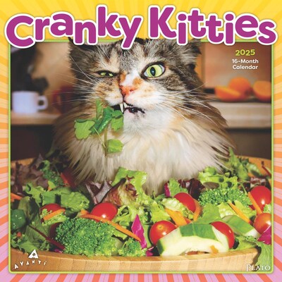 2025 Plato Avanti Cranky Kitties  12 x 12 Monthly Square Wall Calendar (9781975480080)