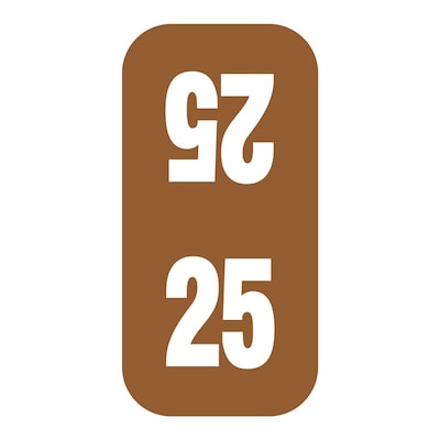Medical Arts Press Smead Compatible Small Top-Tab 2025 Year Label, 1/2 x 1, Brown, 250/Pack (32664