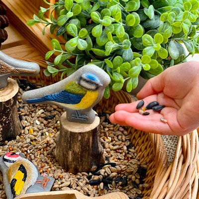 Yellow Door Sensory Play Stones, Birds, Multicolored, 8 Pieces/Set (YUS1219)