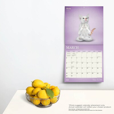 2025 Plato Yoga Kittens 12" x 12" Monthly  Wall Calendar (9781975480134)