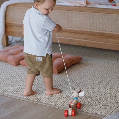 Plan Toys Happy Puppy Wooden Pull Toy, Natural (PTS5101)
