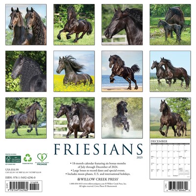 2025 Willow Creek Friesians 12 x 12 Monthly Wall Calendar (42960)