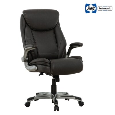 Sealy Posturepedic Axel Swivel Executive Office Chair, Dark Grey (64626)