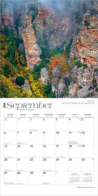 2026 BrownTrout Arizona Wild & Scenic 12" x 12" Monthly Wall Calendar (9798330702145)
