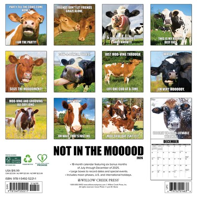 2026 Willow Creek Not in the Mooood 12 x 12 Monthly Wall Calendar (52211)