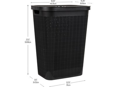 Mind Reader 15.85-Gallon Hamper with Lid, Plastic, Black (60FABHAMP-BLK)